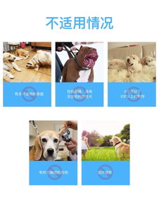 莫迪思 modus 自動超聲波止吠器 智能訓(xùn)導(dǎo)專家的無聲助手